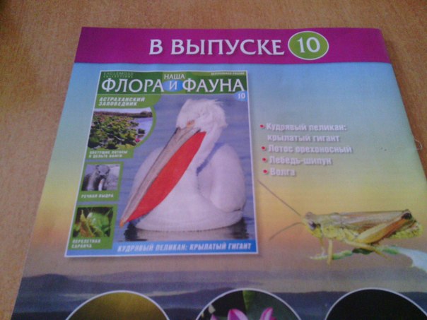 Наша Флора и Фауна - журнал (Eaglemoss)