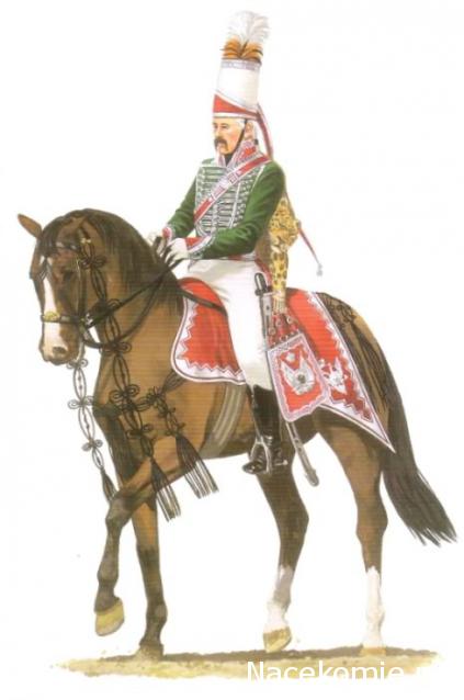 Наполеоновские войны №42 Офицер Гусарского полка в парадной форме согласно регламенту, 1812г.