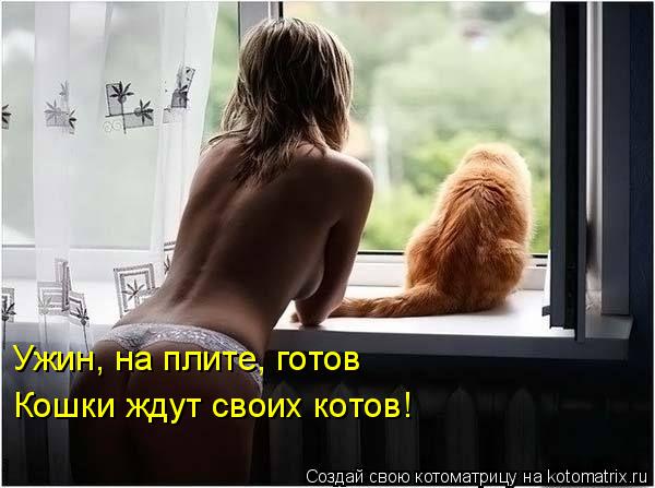 Танкодром (Общая Болталка танковых разделов)