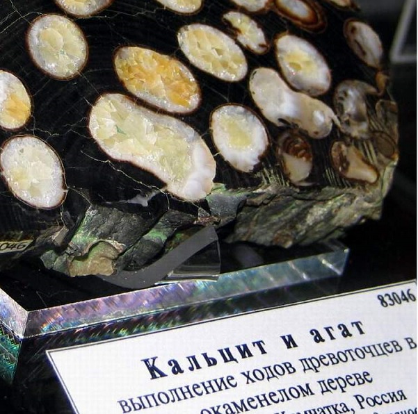 Энергия камней №113 Дендролит (шар) фото, обсуждение