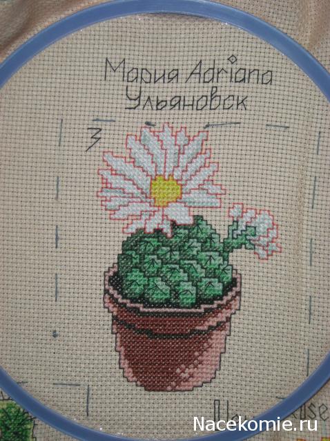 Round Robin_ координатор Irvi