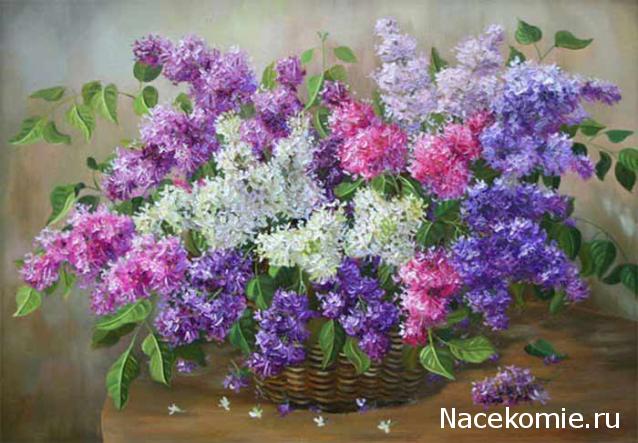 Дамы эпохи - Наши дни рождения