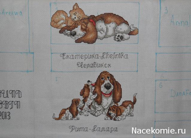 Round Robin- координатор  shabsik