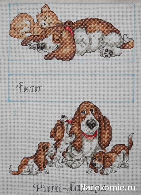 Round Robin- координатор  shabsik