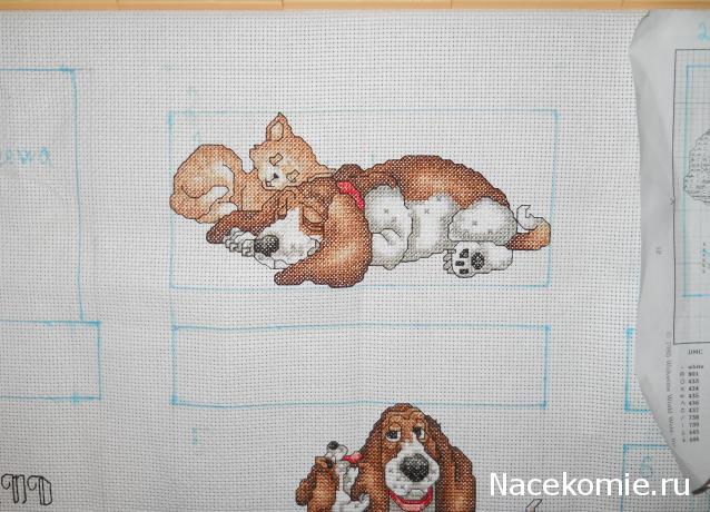 Round Robin- координатор  shabsik