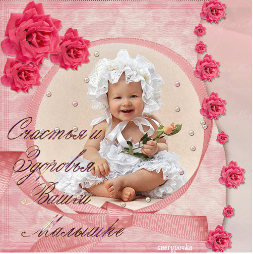 sphynx Канадские сфинксы в английском доме