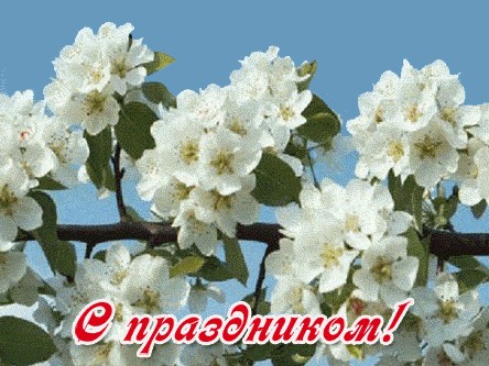 Дом Мечты Болталка: перезагрузка