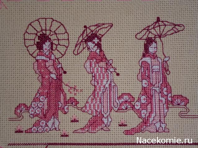 Round Robin- координатор  shabsik