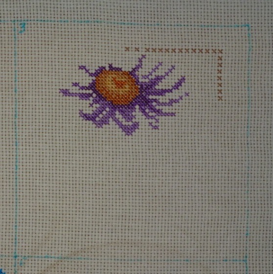 Round Robin- координатор  shabsik