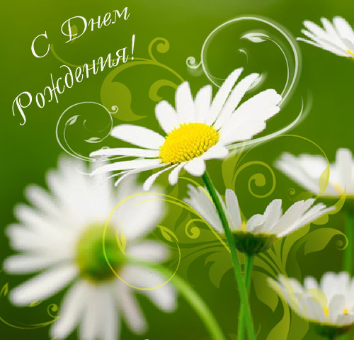 Наши Дни Рождения