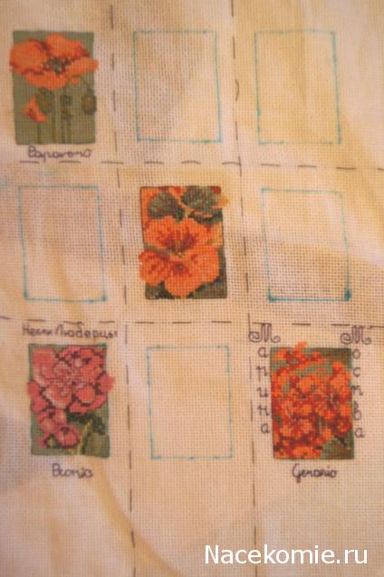 Round Robin_координатор Mabelle