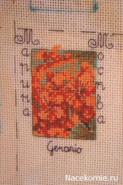 Round Robin_координатор Mabelle