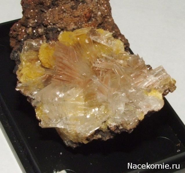 Коллекция камней Lar