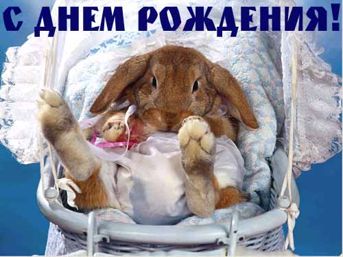 Дом Мечты наши дни рождения