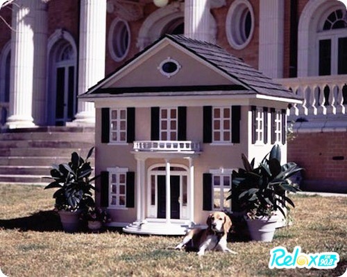 Дом Мечты наши дни рождения