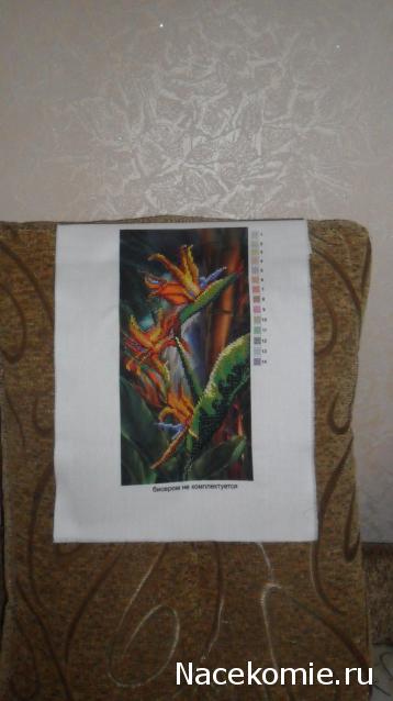 natulia. Мой маленький мир.