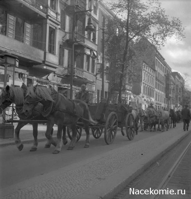 Солдаты ВОВ - Землянка (общение на разные темы)