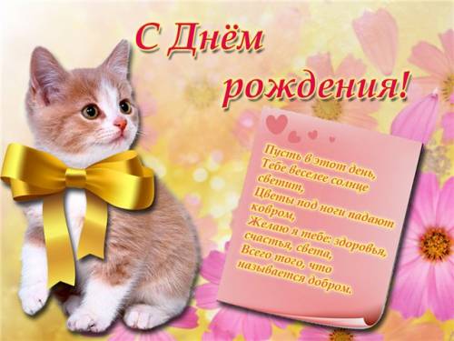 Дом Мечты наши дни рождения