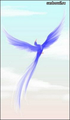 Наши Дни Рождения