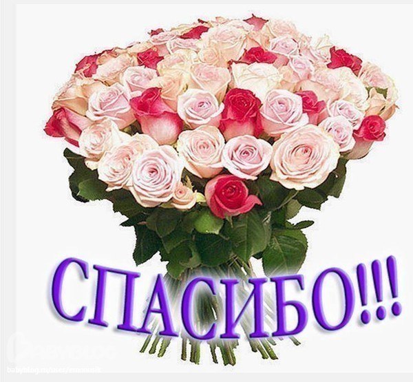 nataliMe - Викторианская эпоха. Взгляд из 21 века.