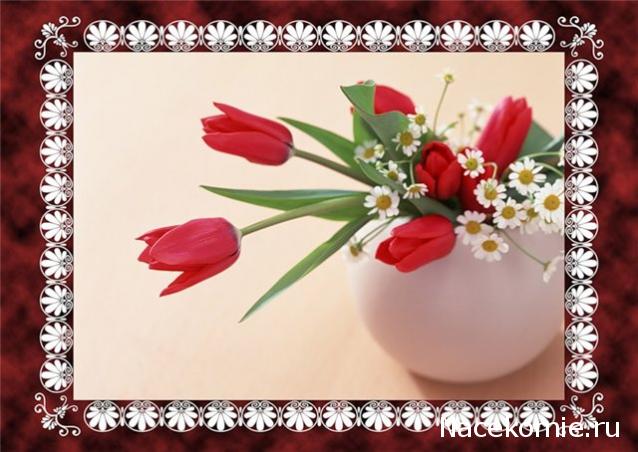 Дом Мечты наши дни рождения