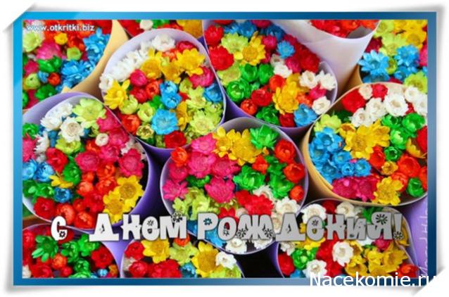 Дом Мечты наши дни рождения