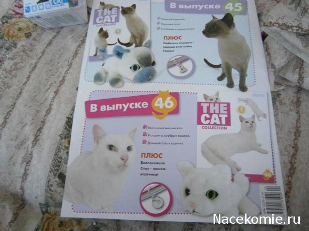 The Cat Collection №44 Тукседо Фото