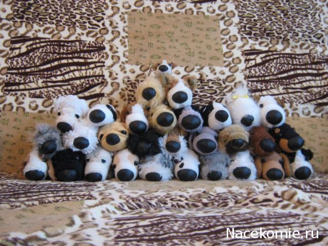The Dog Collection Болталка