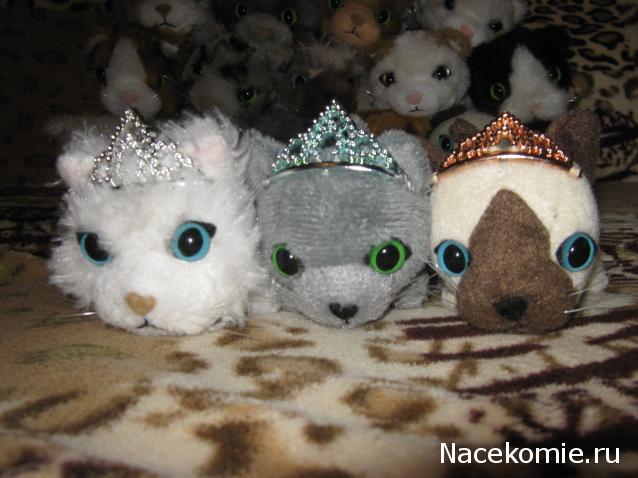 Кошкин дом. Болталка The Cat Collection