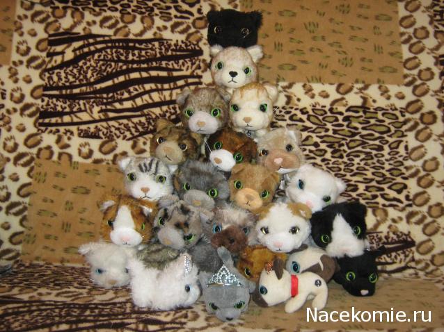 Кошкин дом. Болталка The Cat Collection