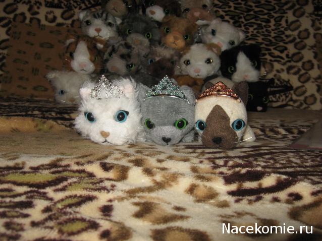 Кошкин дом. Болталка The Cat Collection