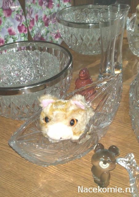 The Cat Collection №41 Австралийский мист Фото