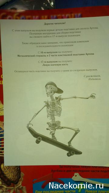 "Собери и познай человеческое тело" 2013 (ДеАгостини) Украина