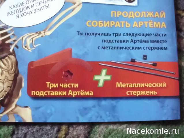 "Собери и познай человеческое тело" 2013 (ДеАгостини) Украина