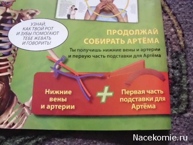 "Собери и познай человеческое тело" 2013 (ДеАгостини) Украина
