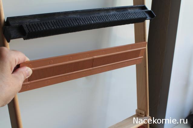 sphynx Канадские сфинксы в английском доме