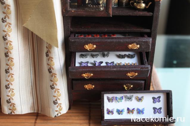 sphynx Канадские сфинксы в английском доме