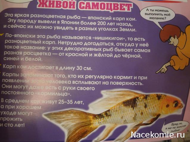 Scooby Doo: Великие тайны мира