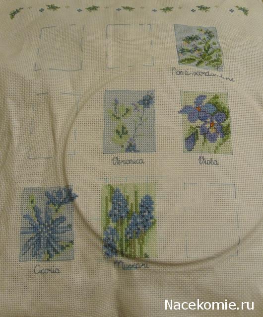 Round Robin_координатор Mabelle