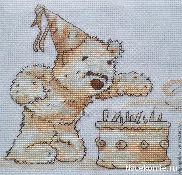 Round Robin_координатор Mabelle