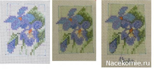 Round Robin_координатор Mabelle