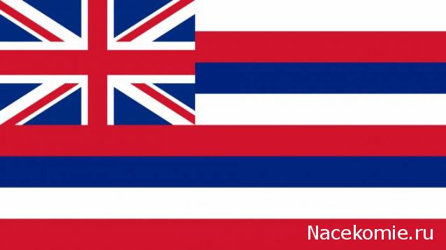 Round Robin_координатор Mabelle