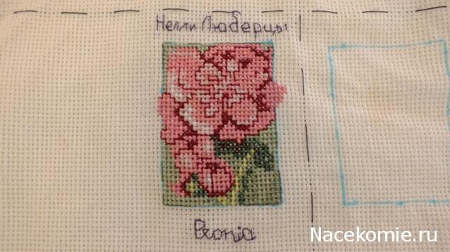 Round Robin_координатор Mabelle