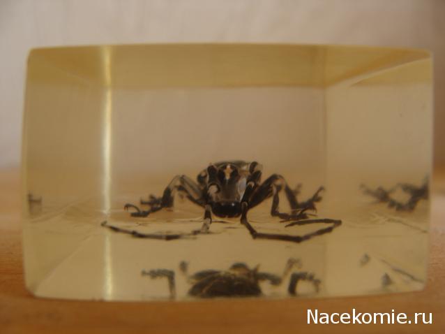 Тестовая серия