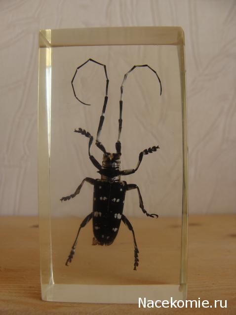 Тестовая серия