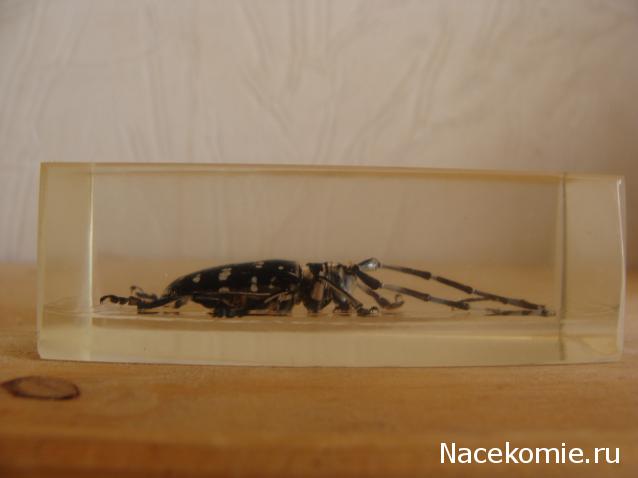 Тестовая серия