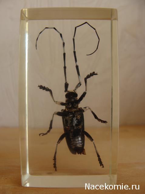 Тестовая серия