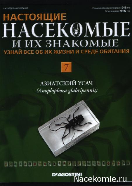 Тестовая серия