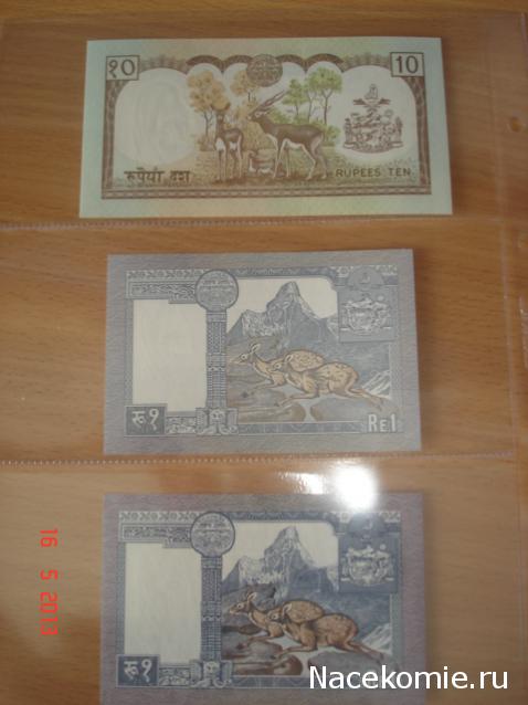 Коллекции пользователей. Нумизматика и бонистика