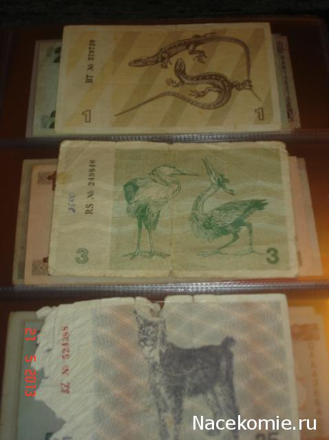 Коллекции пользователей. Нумизматика и бонистика